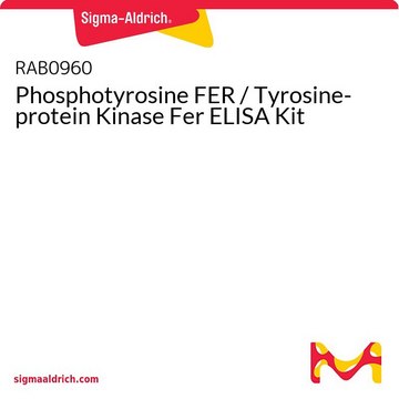 Phosphotyrosine FER / Tyrosine-protein Kinase