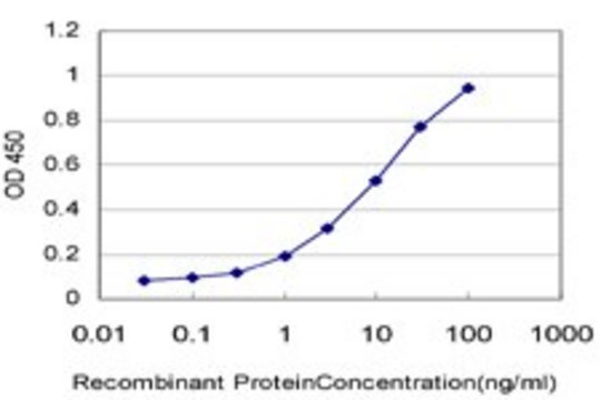 ANTI-TCL1A antibody produced in mouse