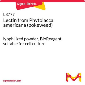 Lectin from Phytolacca americana (pokeweed)