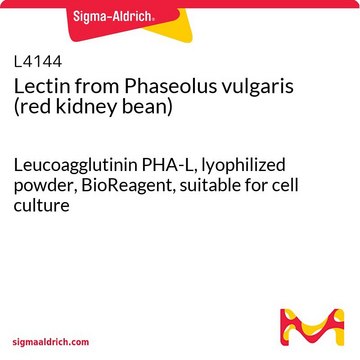 Lectin from Phaseolus vulgaris (red