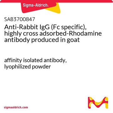 Anti-Rabbit IgG (Fc specific), highly