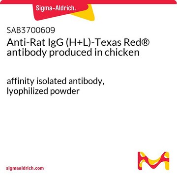 Anti-Rat IgG (H+L)-Texas Red® antibody