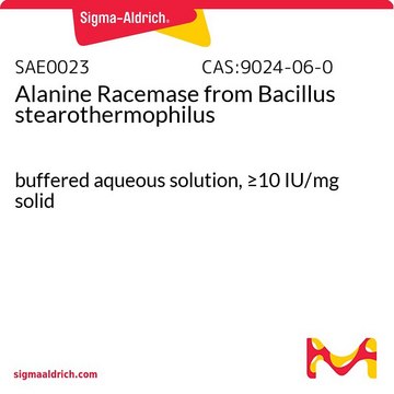 Alanine Racemase from Bacillus stearothermophilus