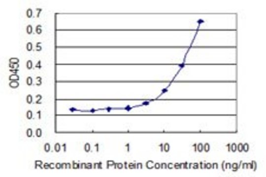 Monoclonal Anti-MRPS21 antibody produced in