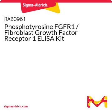 Phosphotyrosine FGFR1 / Fibroblast Growth