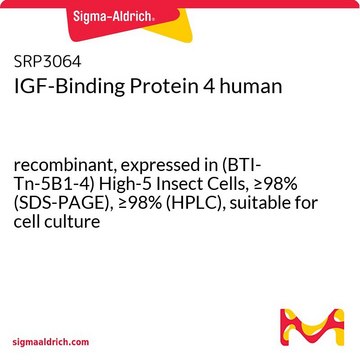 IGF-Binding Protein 4 human