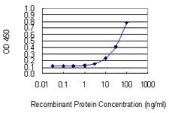 Monoclonal Anti-NUDT13 antibody produced in