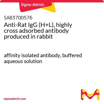 Anti-Rat IgG (H+L), highly cross