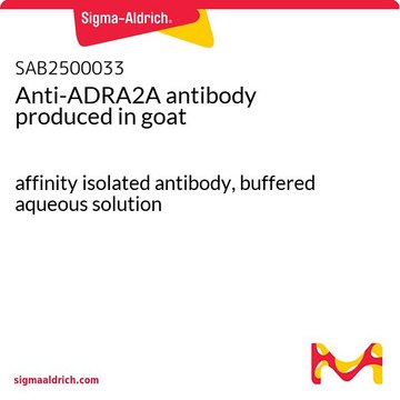 Anti-ADRA2A antibody produced in goat