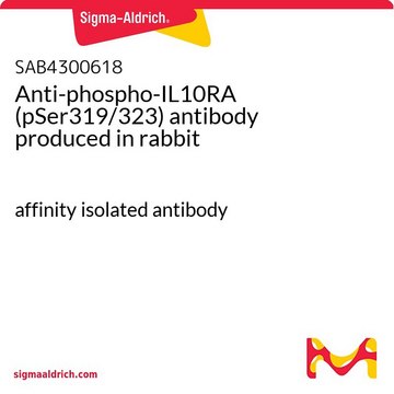 Anti-phospho-IL10RA (pSer319/323) antibody produced in