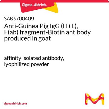 Anti-Guinea Pig IgG (H+L), F(ab)