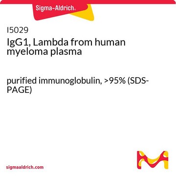 IgG1, Lambda from human myeloma