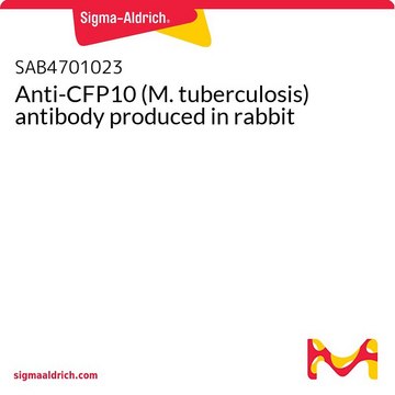 Anti-CFP10 (M. tuberculosis) antibody produced