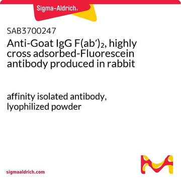 Anti-Goat IgG F(ab?)?, highly cross