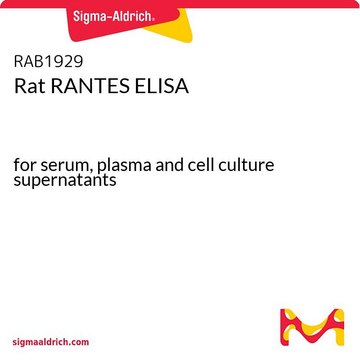Rat RANTES ELISA