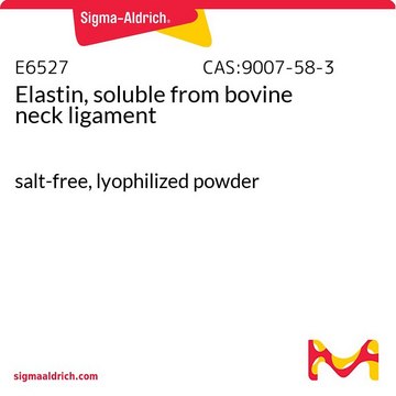 Elastin, soluble from bovine neck