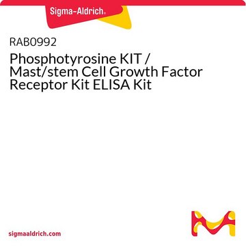 Phosphotyrosine KIT / Mast/stem Cell