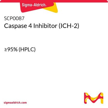 Caspase 4 Inhibitor (ICH-2)