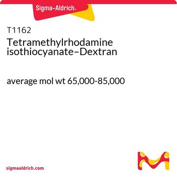 Tetramethylrhodamine isothiocyanate–Dextran