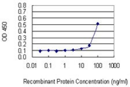 Monoclonal Anti-ZNF253 antibody produced in
