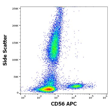 Monoclonal Anti-CD56-APC antibody produced in