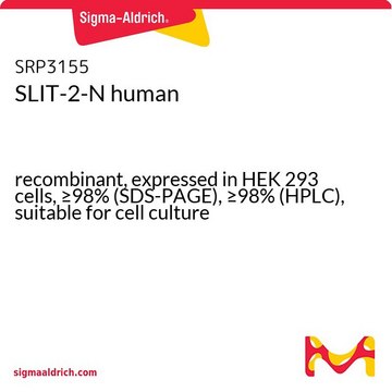 SLIT-2-N human