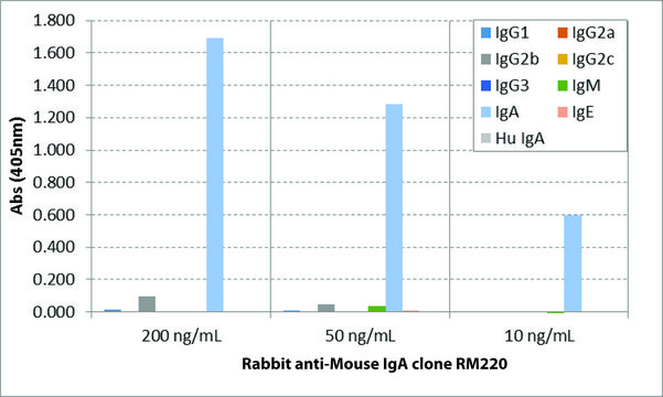 Anti-Mouse IgA-Biotin antibody, Rabbit monoclonal