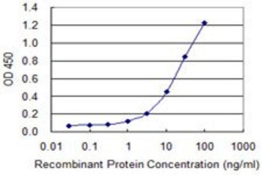 Monoclonal Anti-POLR2C antibody produced in