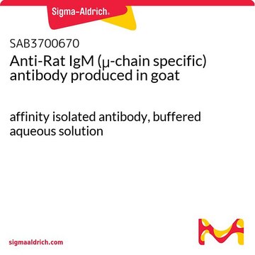 Anti-Rat IgM (?-chain specific) antibody