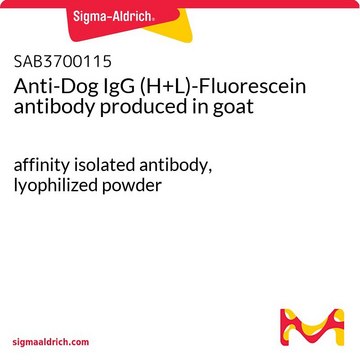 Anti-Dog IgG (H+L)-Fluorescein antibody produced