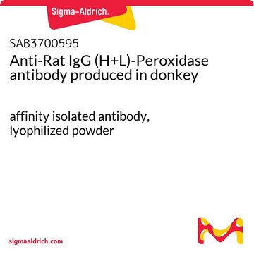 Anti-Rat IgG (H+L)-Peroxidase antibody produced