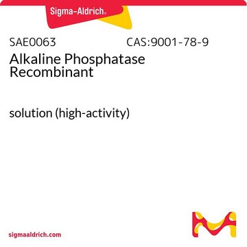 Alkaline Phosphatase Recombinant