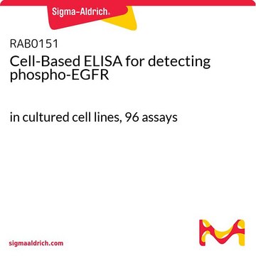 Cell-Based ELISA for detecting phospho-EGFR