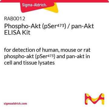 Phospho-Akt (pSer??³) / pan-Akt ELISA