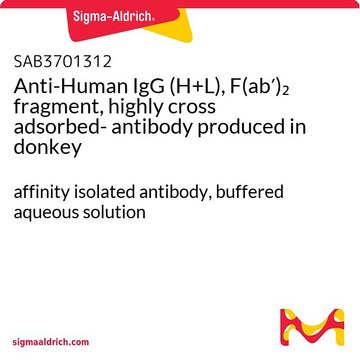 Anti-Human IgG (H+L), F(ab?)? fragment,
