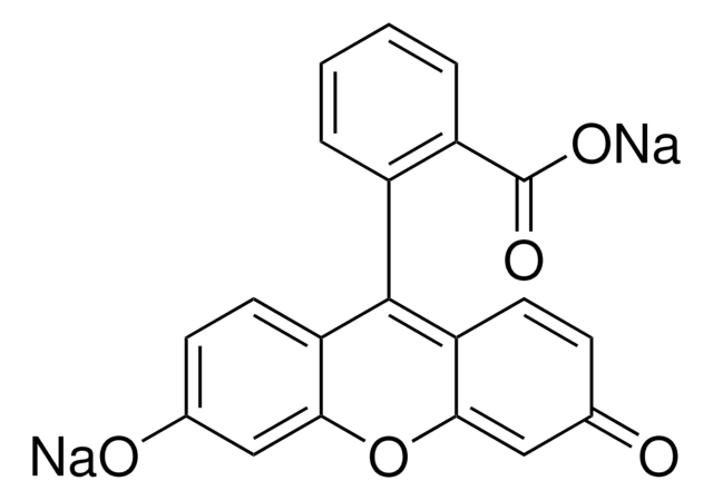 Fluorescein sodium salt