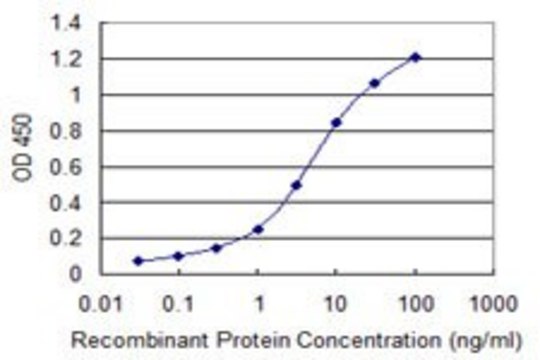 Monoclonal Anti-ORC3L, (C-terminal) antibody produced