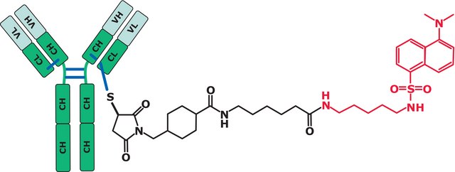 SigmaMAb Antibody Drug Conjugate (ADC)