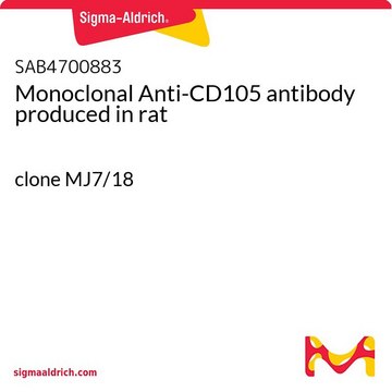 Monoclonal Anti-CD105 antibody produced in