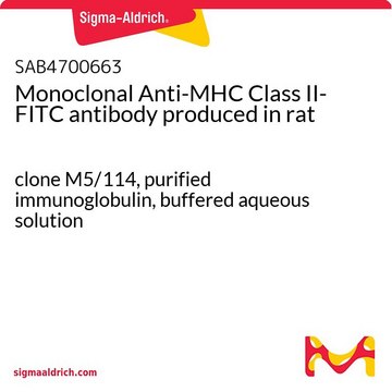 Monoclonal Anti-MHC Class II-FITC antibody