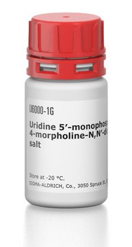 Uridine 5?-monophosphomorpholidate 4-morpholine-N,N?-dicyclohexylcarboxamidine salt
