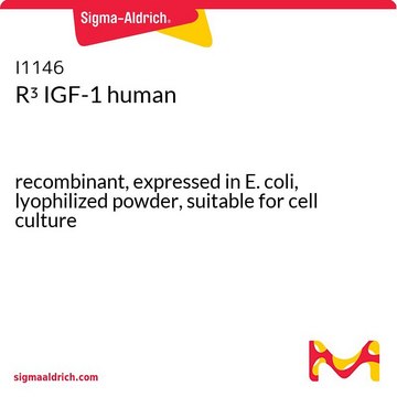 R³ IGF-1 human