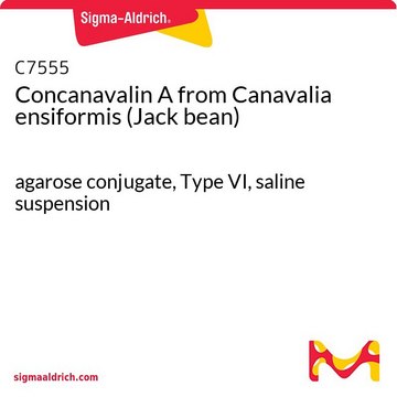 Concanavalin A from Canavalia ensiformis