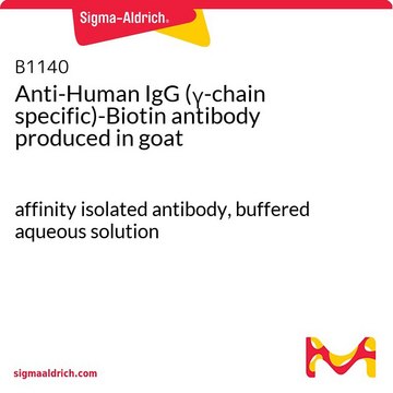 Anti-Human IgG (?-chain specific)-Biotin antibody