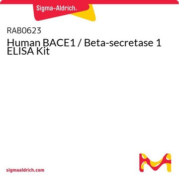 Human BACE1 / Beta-secretase 1