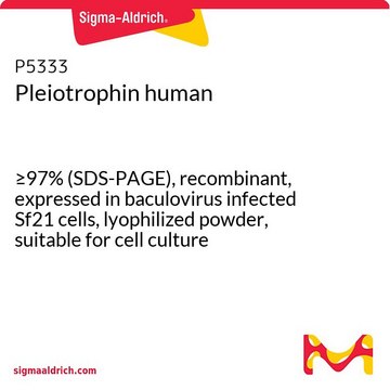Pleiotrophin human