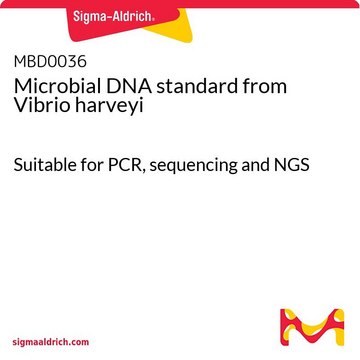 Microbial DNA standard from Vibrio