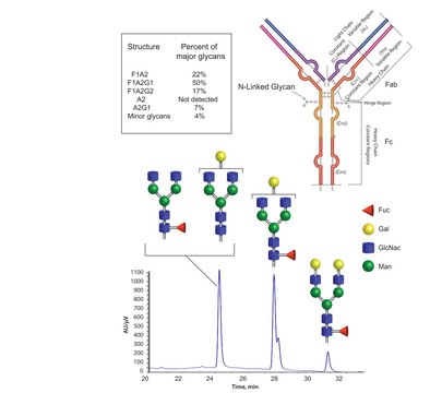 SILu™Mab Stable Isotope-Labeled Monoclonal Antibody
