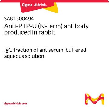 Anti-PTP-U (N-term) antibody produced in