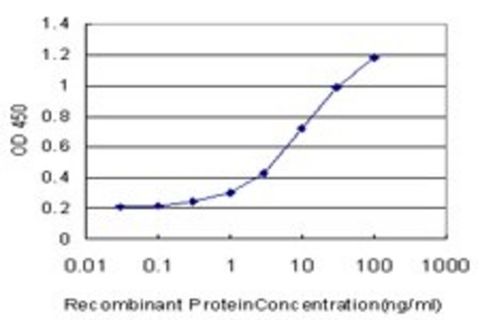 Monoclonal Anti-GDF2 antibody produced in